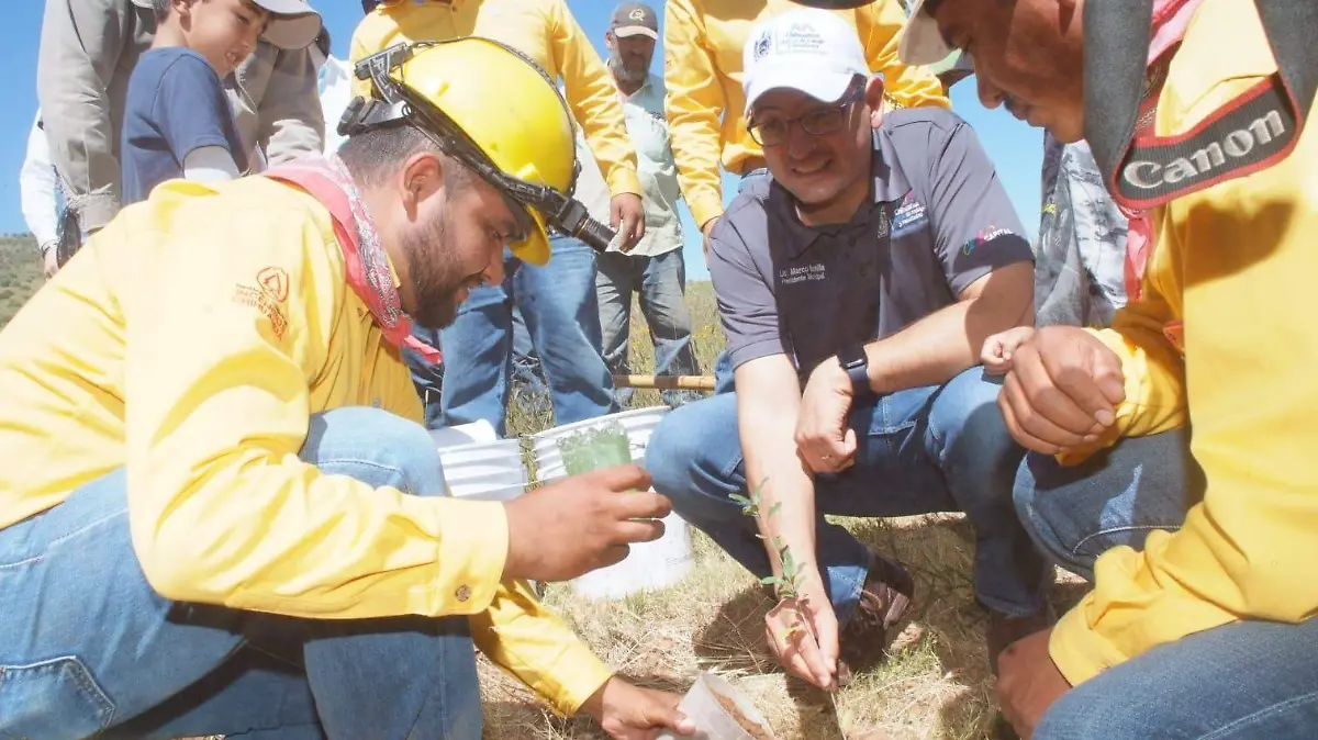 bonilla en reforestacion